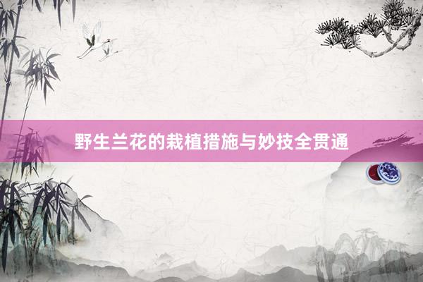 野生兰花的栽植措施与妙技全贯通